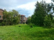 P_20170620_120905.jpg