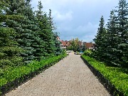 P_20170620_121158.jpg