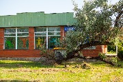 IMG_6184.JPG