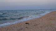 DSC005501.JPG